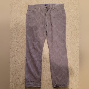 NYDJ Taupe Floral Leggings/Jeans